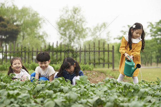 耕种田地的孩子们图片