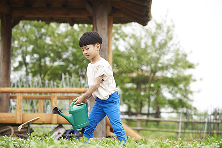 田地里拿着水壶浇水的小男孩图片