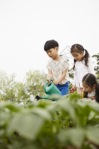 田地里农作体验的孩子们图片