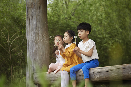 坐在亭子里吹蒲公英的孩子们图片