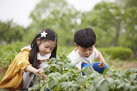 田地里劳作的孩子们图片