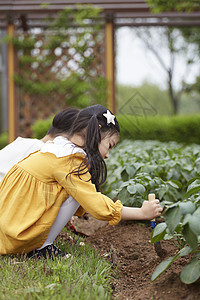 锄地的小女孩图片