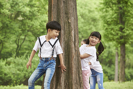 树林里孩子在树林里玩躲猫猫的小朋友背景