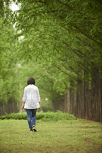走路学校图片_走路学校素材图片大全_摄图网