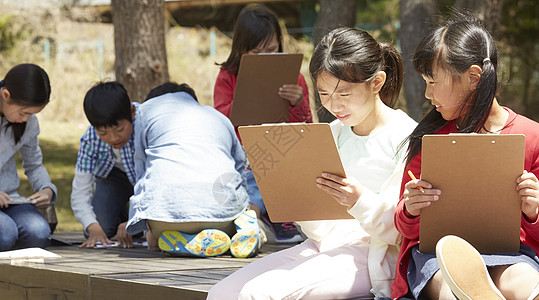 日本神鹿公园小学生在公园里写生背景