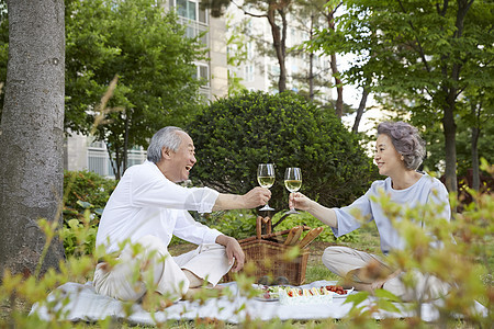 户外野餐干杯的老年夫妇图片