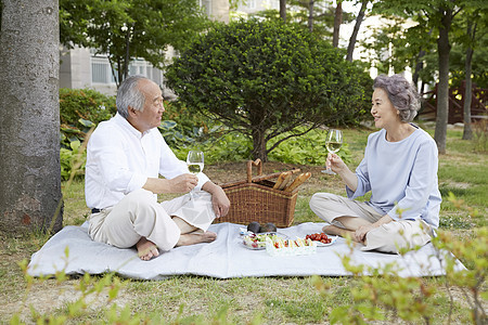 户外野餐的老年夫妇图片