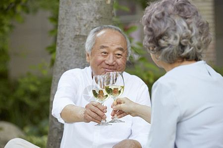 户外野餐拿着酒杯干杯的老年夫妇图片