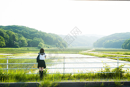 穿着制服的青春少女背影图片