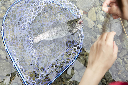 野外捕鱼图片素材