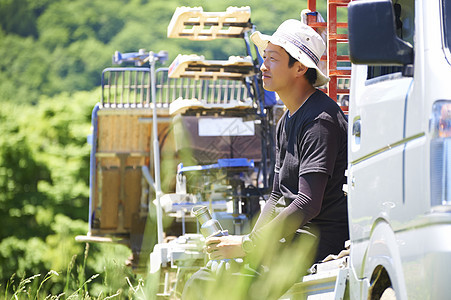 坐下精美稻田水稻种植打破男人喝水图片