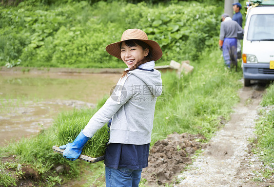 搬运种植水稻幼苗的女性图片