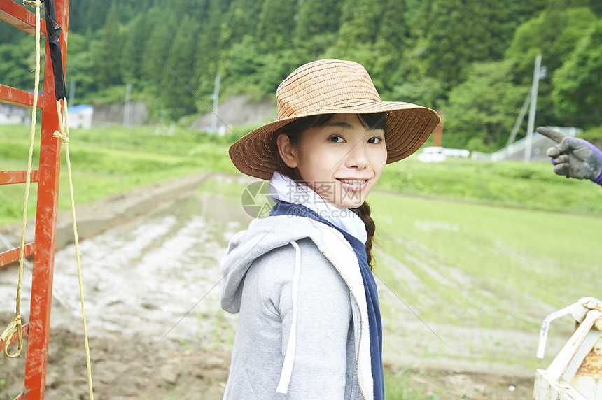 种植水稻的年轻农民图片