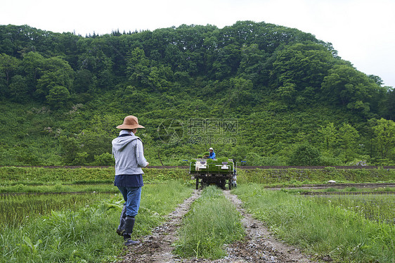 种植水稻在田地里休息的年轻农民图片