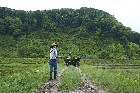 种植水稻在田地里休息的年轻农民图片