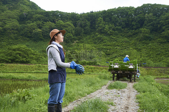 农业妇女在水稻种植地休息图片