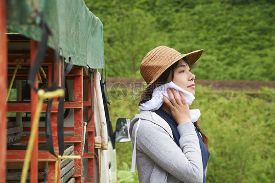 农业妇女在水稻种植地休息图片