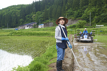 水稻种植的女人图片