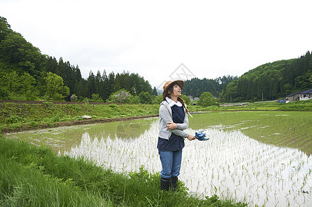 种植水稻在田地里休息的年轻农民图片