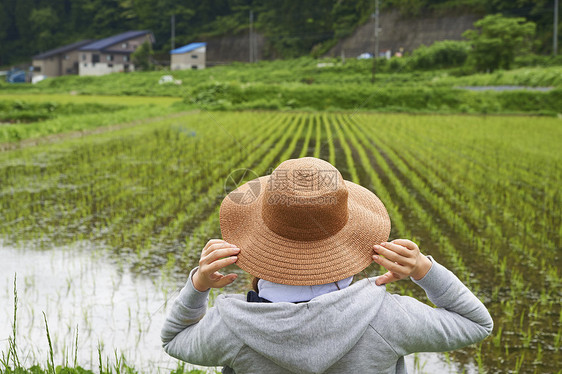 种植水稻在田地里休息的年轻农民图片