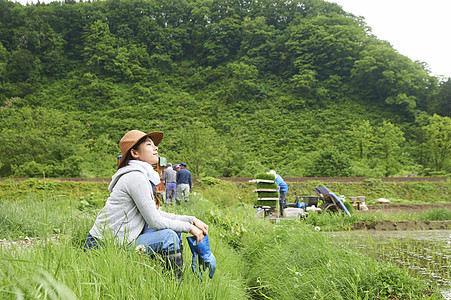 中水稻的妇女在田地里休息图片