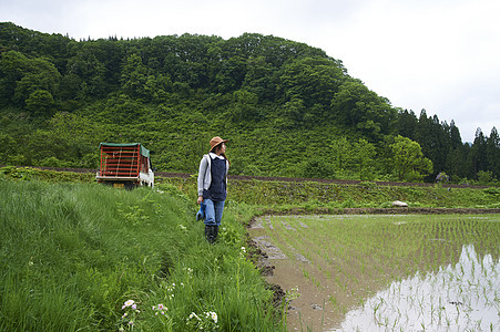 种植水稻后在田里休息的年轻农民图片