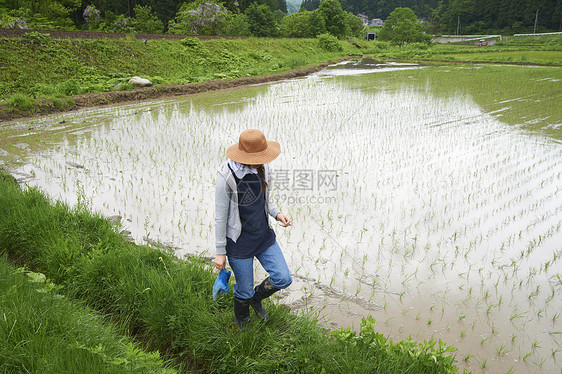 种植水稻后在田里休息的年轻农民图片