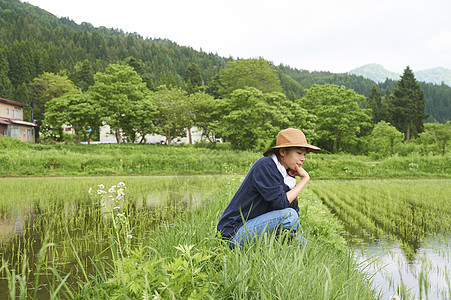 种植水稻正在休息的农民图片