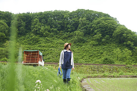 劳动力女原野种植水稻正在休息的农民妇女水稻种植休息图片