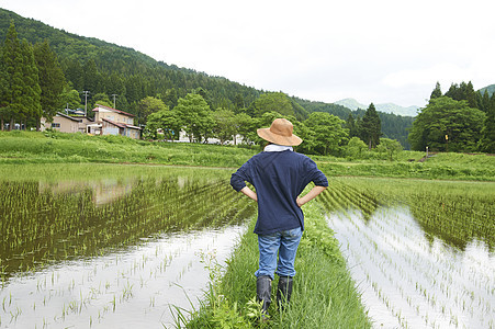 种植水稻正在休息的农民图片