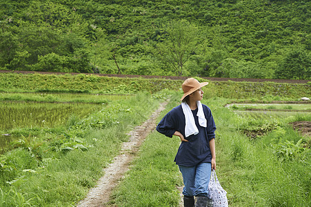 农业妇女在水稻种植地休息图片