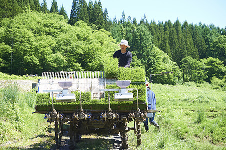 开拖拉机种植插秧的农业农民图片
