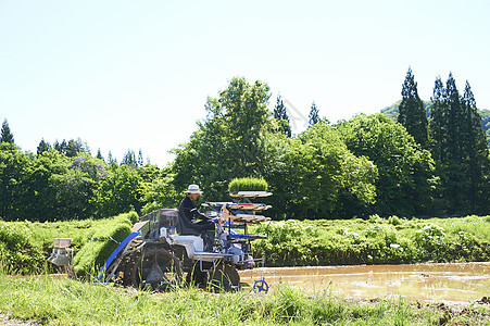 开拖拉机种植插秧的农业农民图片