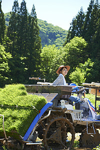 开拖拉机种植插秧的农业妇女图片