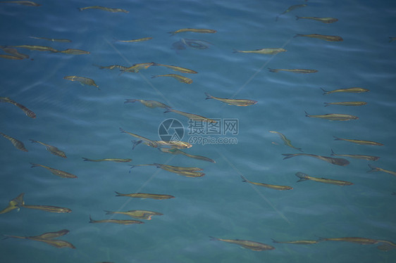 留白户外风景名胜秋田湖泽泽湖面图片