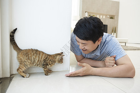 虹猫父亲白猫正在逗猫玩的男子背景