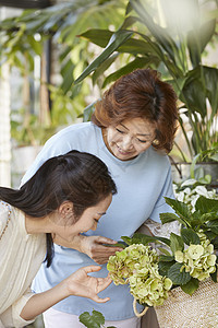 花店母女一起打理花卉图片