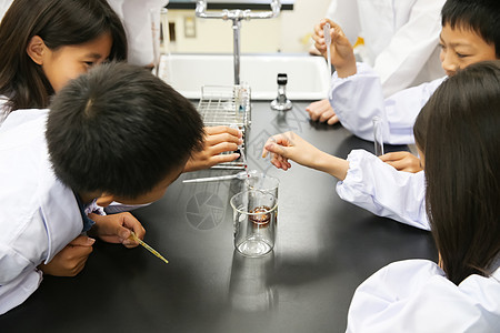 化学课实验的学生们图片