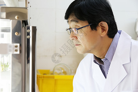 实验室戴着眼镜研究的技术人员图片
