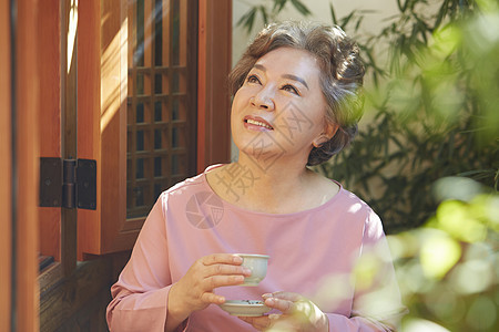 成人汉诺克传统汽车祖母图片