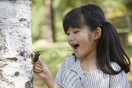 小朋友在森林草地上捉昆虫图片