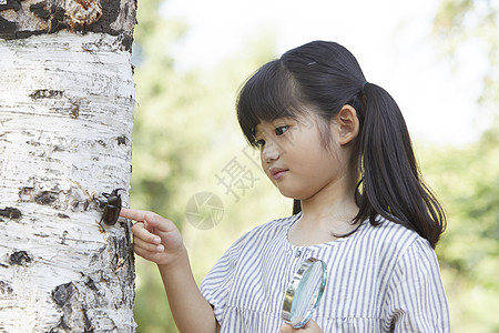 小朋友在森林草地上画画捉昆虫图片