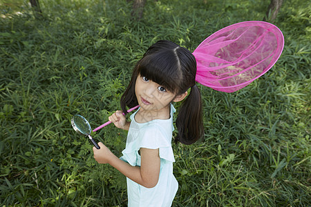 韩国猎虫小学生儿童实地考察昆虫采集图片