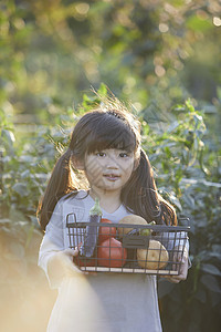 收获季节农业小孩儿童庄稼收获图片