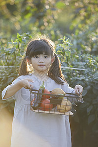 小朋友在户外采摘蔬菜图片