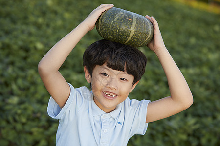 小朋友在户外采摘蔬菜图片