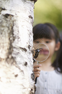 韩国韩国人扩大儿童实地考察昆虫采集图片