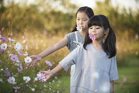 微笑的儿童在野外抚摸着花朵图片