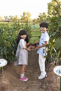 小孩在庄稼地上拿着蔬菜图片