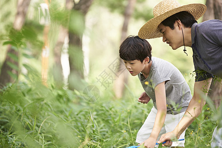 儿童实地考察昆虫采集图片